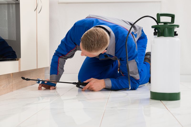 Beetle Removal in Frisco, TX