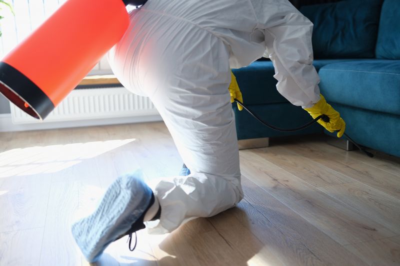 Centipede Extermination in Katy, TX