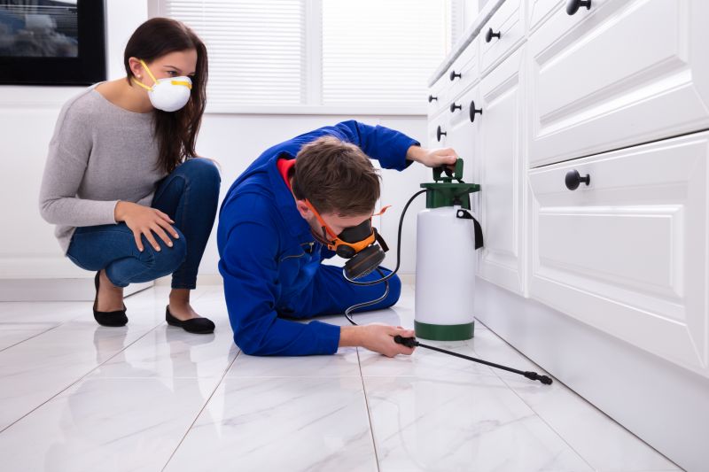 Centipede Extermination in Katy, TX