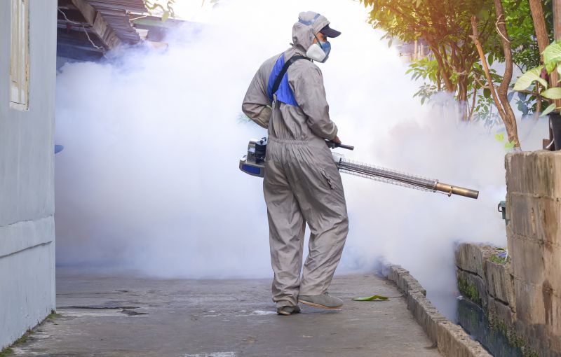 Fly Pest Control in Rockwall, TX